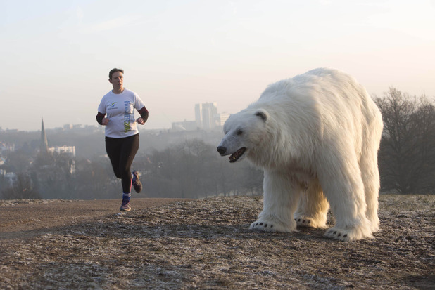 fun-fortitude-giant-polar-bear-1